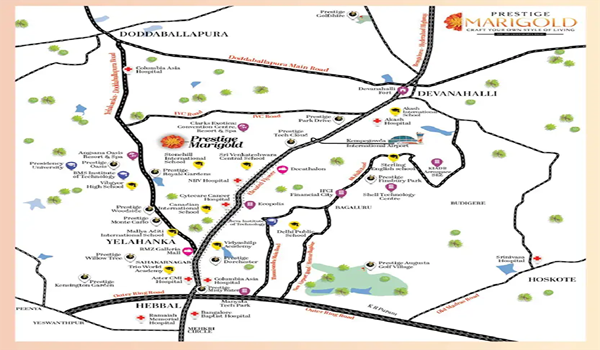 Featured Image of Prestige Marigold Directions